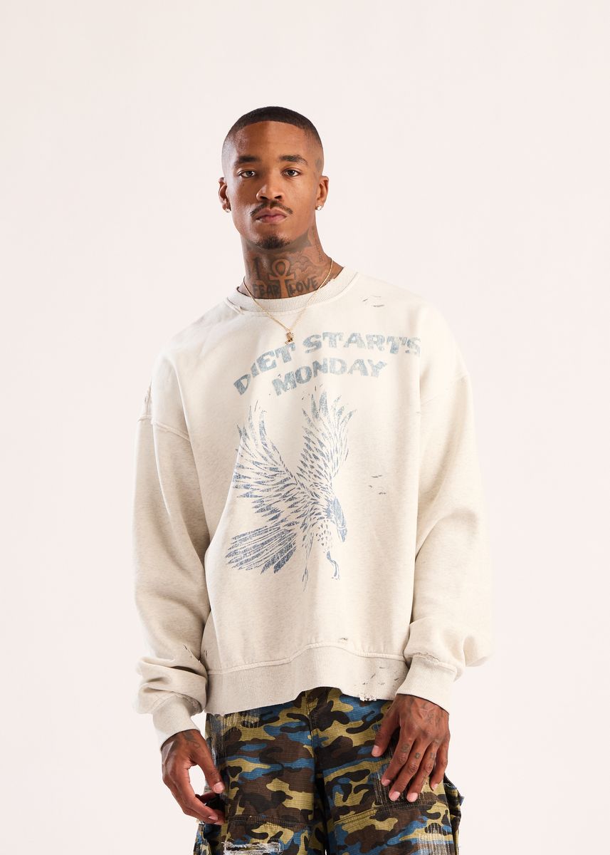 EAGLE SWEATSHIRT DSM