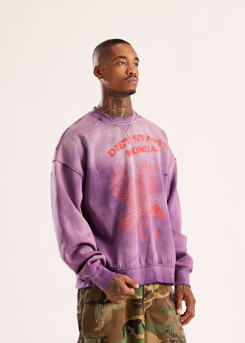 EAGLE SWEATSHIRT DSM