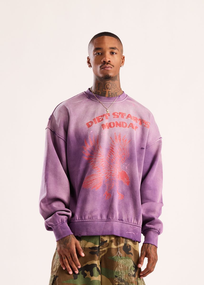 EAGLE SWEATSHIRT DSM