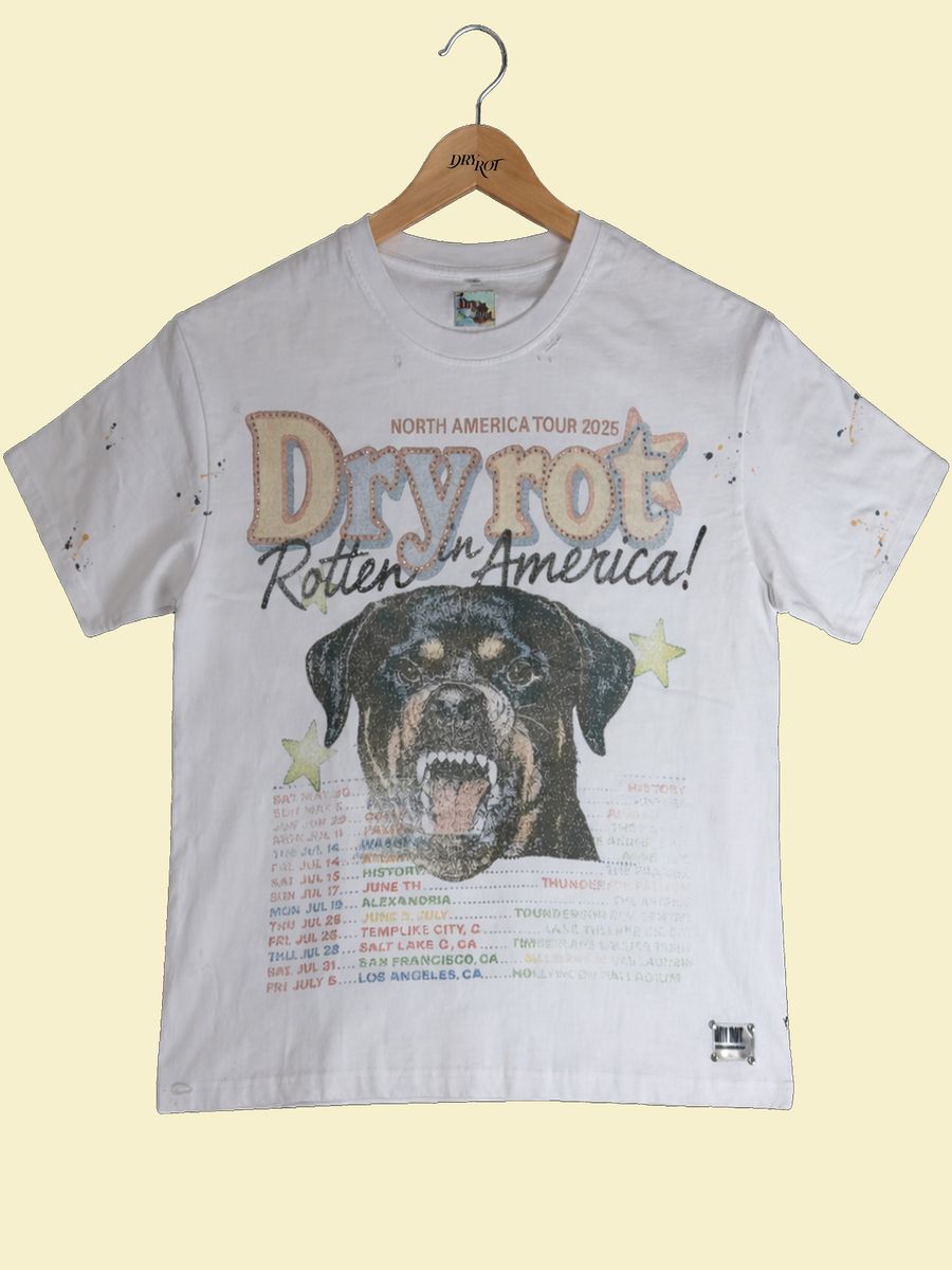 ROTTEN IN AMERICA TEE DRY ROT