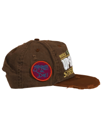 WS 7 DWELLER INTL STREET TEAM HAT UP7SKATE
