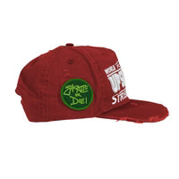 WS ROSY INTL STREET TEAM HAT UP7SKATE